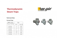 Thermodynamic Steam …